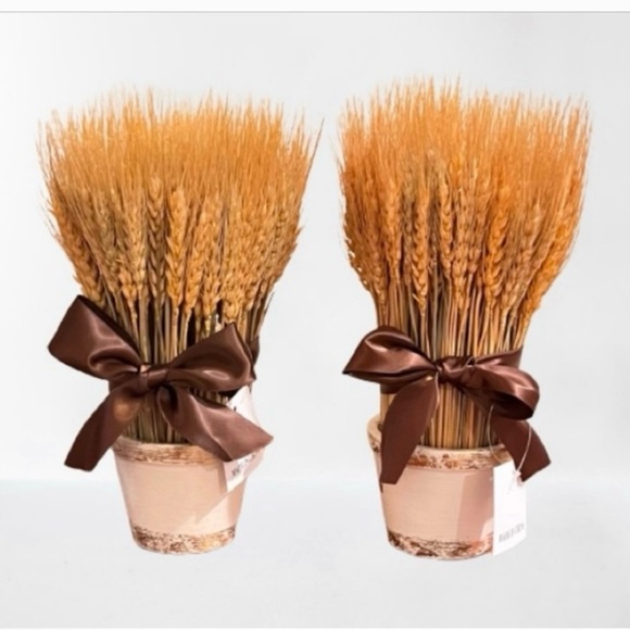 NWT- Bundle of Wheat in Distressed
Ceramic Planter. Size: 11"H - Picture 2 of 8